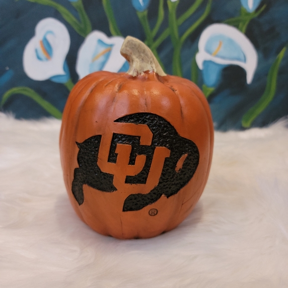 University of Colorado official collegiate pumpkin from Cumberland Designs - Picture 3 of 3